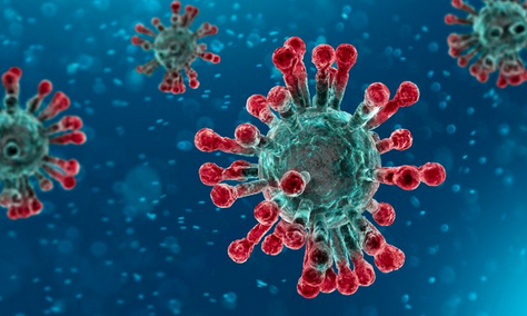 virus1
